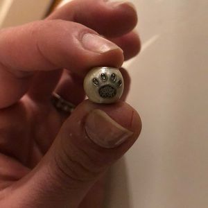 Pet charm and flower